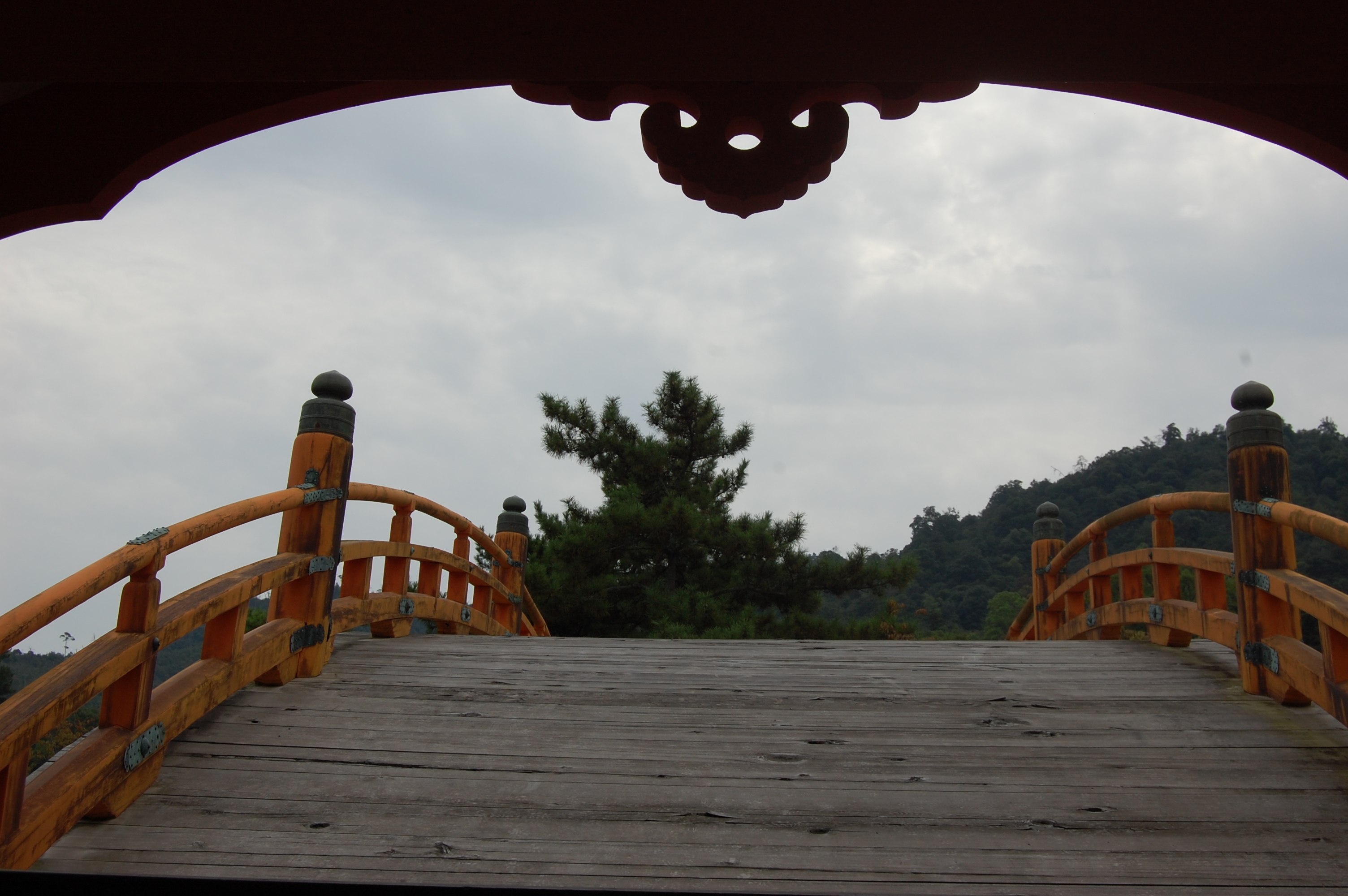 Japanese Bridge: Photo by Sharon Burtner